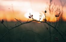 Когда весеннее равноденствие 2026: что нужно успеть сделать, чтобы год сложился удачно