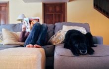 Собаки незаметно влияют на качество воздуха, которым люди дышат в доме, - исследование