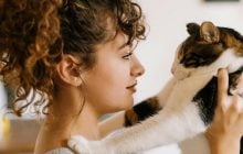 Люди, які люблять котів, мають 8 незвичайних рис характеру, - дослідження