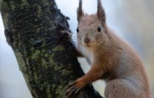 Синоптик Диденко рассказала, как изменится погода в Украине на выходных