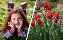 Українські прикмети в свято 16 березня: що не можна купувати, щоб не втрапити в біду