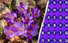 Тільки 1% людей можуть знайти слово "крокус" за 11 секунд: дуже складна головоломка