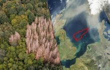 Вчені виявили "загублений світ" на дні Північного моря