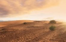 У пустелі знайшли людські сліди, яким 120 тисяч років: чому це здивувало вчених