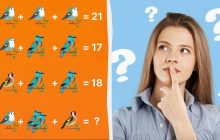 Тільки геній може порахувати всіх птахів: напрочуд складна головоломка