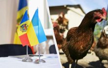 Молдова навмисно перешкоджає експорту курятини з України ще з 2022 року, – експерт