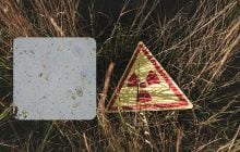 Крошечные существа превзошли выносливых тихоходок по устойчивости к радиации