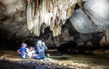 У печерах Камбоджі виявили раніше невідомих тварин, вчені приголомшені