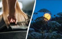 Місячний календар підкаже, коли стригтися у квітні 2026 року: названо найкращі дні
