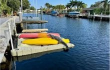 Хижаки Флориди масово виходять з води і "засмагають": що відбувається