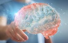 Прорив у нейронауці: німецький дослідник пояснив, як працює навігаційна система мозку