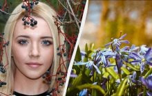 26 березня в Україні відзначають велике свято: кого привітати та що не можна купувати