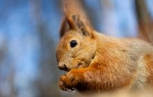 Перед вихідними в Києві стане помітно тепліше