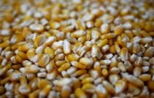 Зміна контролю над вантажем стала ключовим епізодом у спорі про можливе шахрайство на $7 млн, - експерт