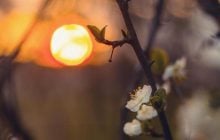 Лунный календарь на апрель 2026: удачные дни для работы, денег, поездок и огорода