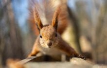 Выходные в Украине будут теплыми, но с нюансами, – синоптик Диденко