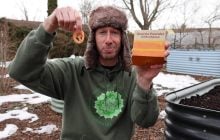 Блогер посадил семена помидоров из бургера: то, что выросло, стало полной неожиданностью