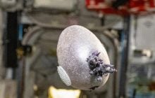 "Что-то вылупляется": астронавт NASA показал космическое "яйцо" со щупальцами (фото)