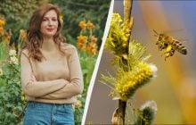 Свято 30 березня в Україні: чим небезпечний день і яку традиційну страву приготувати