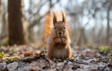 30 березня в Україну зайде похолодання: які області зачепить