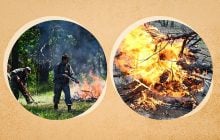 Чи можна палити гілки та сміття на подвір'ї: в ДСНС розповіли, коли виписують штраф