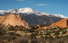 Вчені заради експерименту нагріли луг на 2 °C: що з цього вийшло