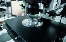 Лікуйте безпліддя за державний кошт: як зробити безкоштовне ЕКЗ в Інституті репродуктивної медицини Дахно