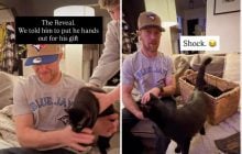 Семь вместо одного: жена случайно преподнесла мужу "пушистый сюрприз"