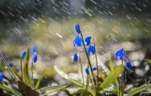 Укргидрометцентр предупредил об изменении погоды в начале апреля