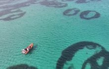 На морському дні біля берегів Шотландії є дивні кільця: вчені не знають, як вони з’явилися