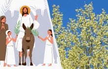 Чи є різниця між "вербою" та "івою": як це пов'язано з Вербною неділею