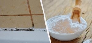 Швы на плитке смазывают этим порошком на 30 минут: не останется и намека на грибок