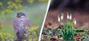 Свято 6 березня в Україні: який сьогодні є обряд для поминання померлих