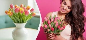 Не распустятся и простоят 2 недели: что добавить в воду для тюльпанов