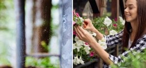 Зачем брызгать уксусом на балконе: простой трюк, который советуют все хозяйки