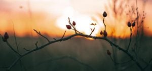 Когда весеннее равноденствие 2026: что нужно успеть сделать, чтобы год сложился удачно