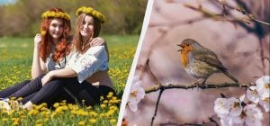 11 марта есть большой профессиональный праздник: что категорически нельзя готовить