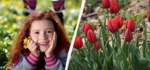 Украинские приметы в праздник 16 марта: что нельзя покупать, чтобы не попасть в беду