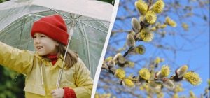 В Украине - большой профессиональный праздник 22 марта: кто принимает поздравления