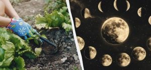 В эти дни в апреле об огороде стоит забыть: точный посевной календарь на месяц
