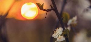 Місячний календар на квітень 2026: вдалі дні для роботи, грошей, поїздок і городу