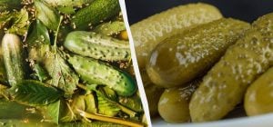 Будуть хрустіти, наче свіжі: яких помилок слід уникати під час квашення огірків