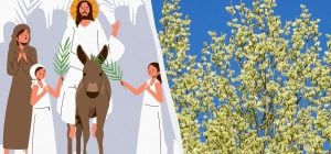 Есть ли разница между "вербой" и "ивой": как это связано с Вербным воскресеньем