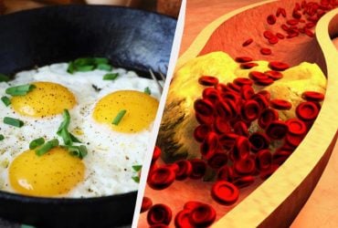 Что происходит с вашим холестерином, если вы едите яйца каждый день: ответ ученых