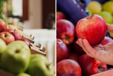 Чому яблука з магазину блищать і липкі на дотик: чи можна їх їсти