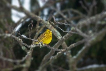 Погода в Киеве ухудшится 3 марта