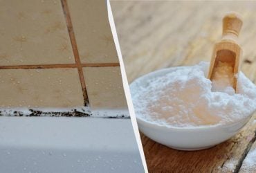 Шви на плитці змащують цим порошком на 30 хвилин: не залишиться і натяку на грибок