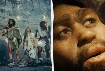 Язык древнее, чем считалось: ученые раскрыли дату, когда люди впервые научились говорить