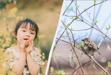 Праздник 7 марта 2026: приметы этого дня, что запрещено делать в каждом доме