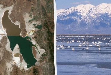 Ученые нашли жизнь там, где она невозможна: этих существ ранее не видели на Земле